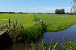 Inrichtingsplan landelijk gebied Sassenheim